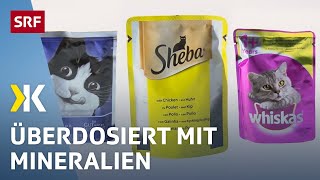 Katzenfutter im Test Jedes zweite Nassfutter ist ungesund  2017  Kassensturz  SRF [upl. by Sink]