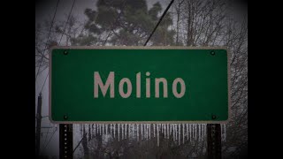 Molino Florida quotSongquot Official Video [upl. by Elnora]