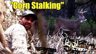 Whitetail ActionquotCorn StalkingquotBowhunting Whitetails in October [upl. by Anyela]