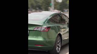 CAXVINYL Factory Direct HD PET Liner Glossy Sonoma Green Car Wrap [upl. by Asseralc275]