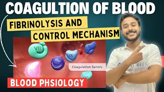 Coagulation Blood Physiology  Blood Physiology  Coagulation Cascade Animation  Physiology [upl. by Myrna]