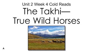 Listening Comprehension Using Unit 2 Week 4 Cold Read  The Takhi  True Wild Horses  MyView 4th Gr [upl. by Ssalguod]