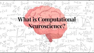 What is computational neuroscience [upl. by Notlimah829]