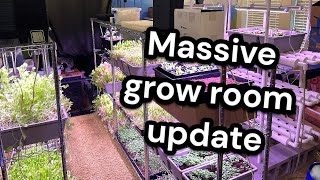 Grow Room Update [upl. by Ahtenek]