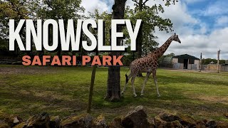 Knowsley Safari Park family day out  Places to visit near Leeds  UK Travel Vlog [upl. by Aicatsanna]