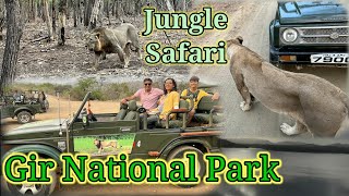 Gir National Park And Sanctuary  Jungle Safari  Sasan Gir  gujarat  Gir Asiatic Lion 🦁 [upl. by Koorb]