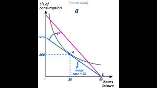 nechyba graph 82a [upl. by Market]