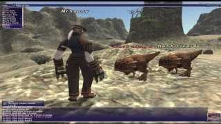 Lets Play FFXI 2014 Part 1  Quest for Leaping Lizzy [upl. by Hayyim]