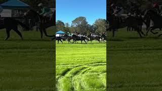 Horse race must watch photo finish ￼ [upl. by Nalon]