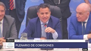 COMISIÓN COMPLETA PLENARIO  23 de enero de 2024  Diputados Argentina  Ley de Bases  DICTAMEN [upl. by Niwdla975]