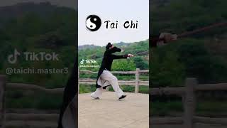 Who wants to learn tai chi kungfu [upl. by Atiuqnahs]