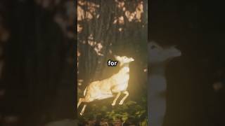 Wild Deer Secrets Youve Never Heard Before shorts deer wildanimals [upl. by Linnea]