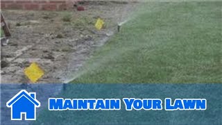 Lawn and Yard Help  How to Maintain Your Lawn [upl. by Anyek]