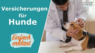 Hundeversicherung ✅ Einfach erklärt  Diese Versicherungen brauchst du wirklich [upl. by Sinclair476]