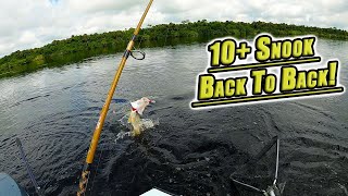 BIG Snook In The River  Fishing The Caloosahatchee [upl. by Perrine]