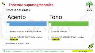 S4 Lenguaje  Fonología II ABC [upl. by Aliakim]