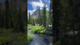 Colorado Hike to Mountain Creek [upl. by Guglielmo]