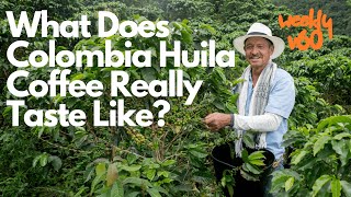 What Does Colombia Huila Coffee Really Taste Like [upl. by Tamas]