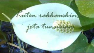 Eron hetki on kaunis  Taisto Tammi lyrics [upl. by Lovich]