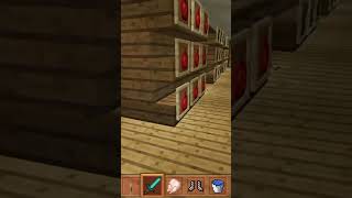 I opened a super shop in craft world  subscribe [upl. by Berriman]