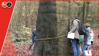 Honderden kinderen doen mee aan het Herfstnatuurspel in Noordwijk [upl. by Hpesojnhoj]