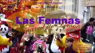 Carnaval de Limoux 2018  Las Femnas [upl. by Row296]