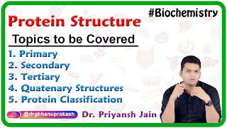 Protein Structure Primary Secondary Tertiary Quatenary Structures and Protein classification [upl. by Ecirb]