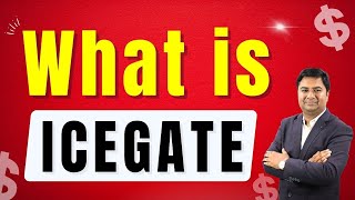 What is icegate in export import business   Icegate kya hai  DGFT  Customs [upl. by Chemar]