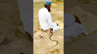 During the prayer the snake sat on the back [upl. by Neerac]