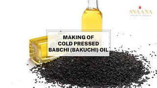 Making of Cold Pressed BabchiBakuchi Oil  Benefits of bakuchi Oil  Psoralea Seeds Oil  SNAANA [upl. by Inva939]