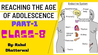 Reaching the age of adolescence Class 8 Chapter 10 Part1 [upl. by Clements849]