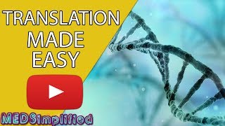 DNA Translation Made Easy [upl. by Uella]