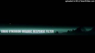 CRAIG OMANION ORGANIC RESPONSE FILTER INSTRUMENTAL [upl. by Lemon]