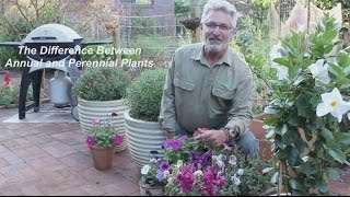 What is the Difference Between Annual and Perennial Plants [upl. by Aljan361]