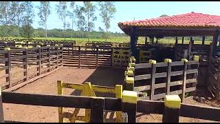 Fazenda a venda no estado do Maranhão [upl. by Bron]