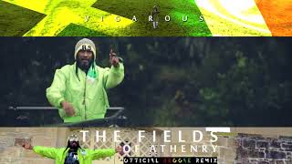 The Fields Athenry  Reggae Version  Vigarous [upl. by Eniamreg]