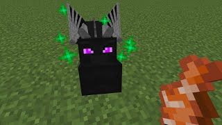 Tame ender dragon in Minecraft  Tame ender dragon mcpe  Minecraft mount dragon mod  minecraft mod [upl. by Anez]