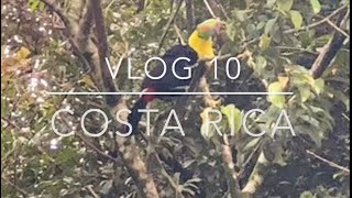 Costa Rica Vlog 10 Monte Verde Cloud Forest hanging bridges and shopping [upl. by Gannes]