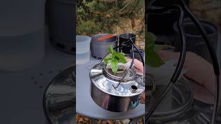 PRIMUS FIRESTICK STOVE  Огляд пальника  ЧАСТИНА 2  АНОНС mycamping campingstove primus review [upl. by Silado]