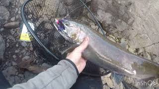 Klickitat river salmon fishing [upl. by Araem433]