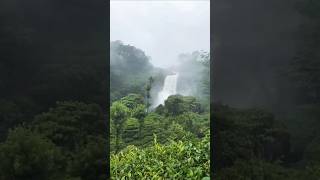 shorts travel tripmood Valparai waterfalls  Traveling whatsapp status  inni dhooram song [upl. by Slavic]