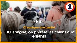 En Espagne on préfère les chiens aux enfants [upl. by Fadil]