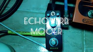 Pedal Echoverb Mooer [upl. by Larine176]