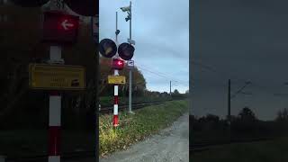 SSP Tychy ul Jeżynowa 2 Pociągi pk tychy przejazdkolejowytychy railwaycrossing [upl. by Gertruda]