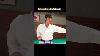 The practical application of Kata【Budo Karate】 [upl. by Ssidnac]