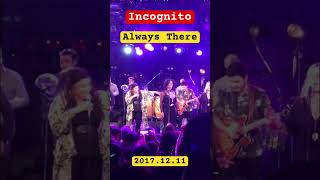 Incognito 「Always There」 LIVE in OSAKA 2017年12月11日 インコグニート shorts [upl. by Minnaminnie53]