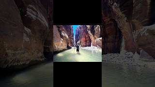 🥾The Narrows zionnationalpark thenarrows travel hiking adventure hikingadventures utah [upl. by Sebastiano490]