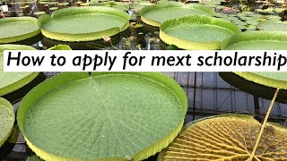 How to apply for the MEXT scholarshipMEXTScholarshipMEXTembassyrecommendation [upl. by Radek]