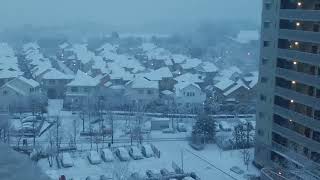 東京 雪 202425pm 5時。 5G ASMR [upl. by Livingstone]