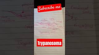 Trypanosoma trypanosomabrucei🫘 ternding videoviralvideo and short📝 नोट by Rajendra Yadav [upl. by Elacsap997]